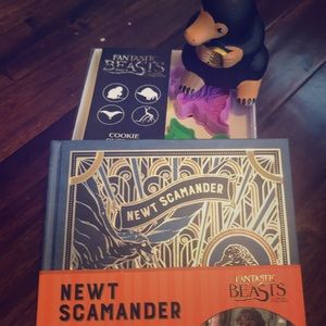 Harry Potter- Fantastic Beasts Bundle